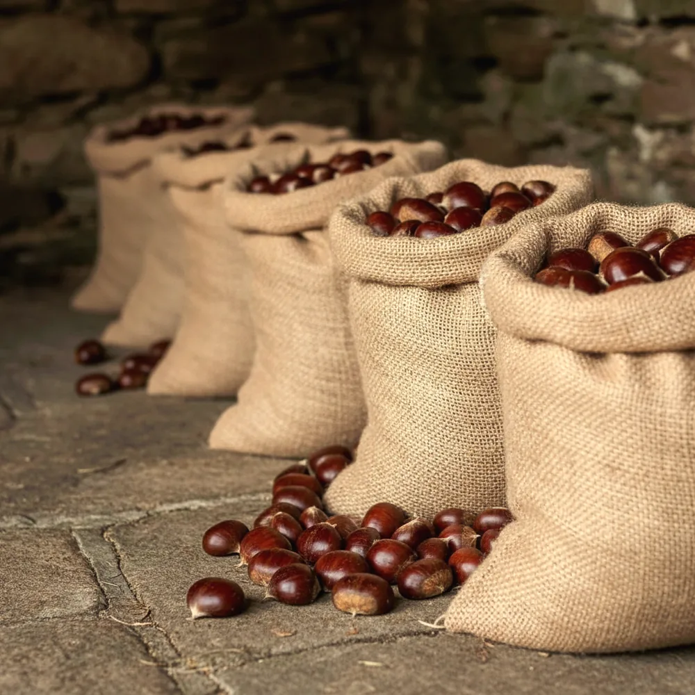 Varios sacos de castañas preparados en un alpendre de piedra (imagen generada con IA)